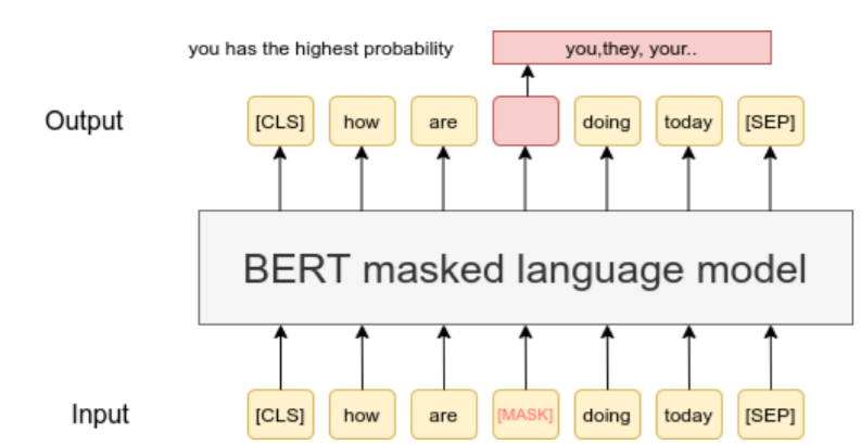 dl_model_transformer_bert.png